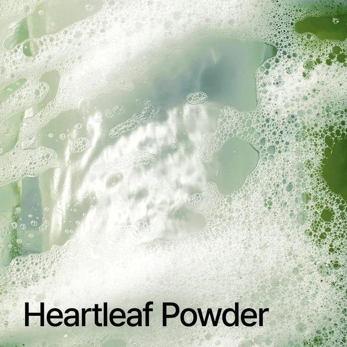 Anua_Heartleaf_Quercetinol_Pore_Deep_Cleansing_Foam