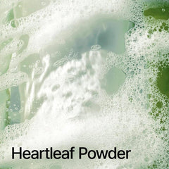 Anua_Heartleaf_Quercetinol_Pore_Deep_Cleansing_Foam