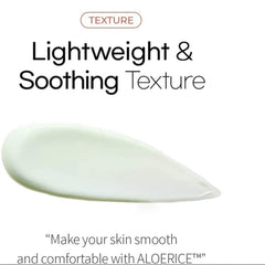 Be_The_Skin_Sebum_Zero_Aloerice_Vegan_Sun_Cream_50ml_SPF_50_PA_3