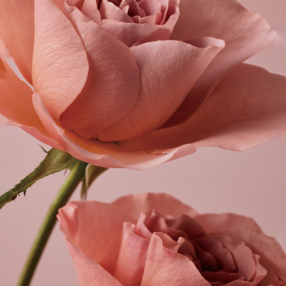 Bonajour_Rose_Stem_Cell_Cream_50ml