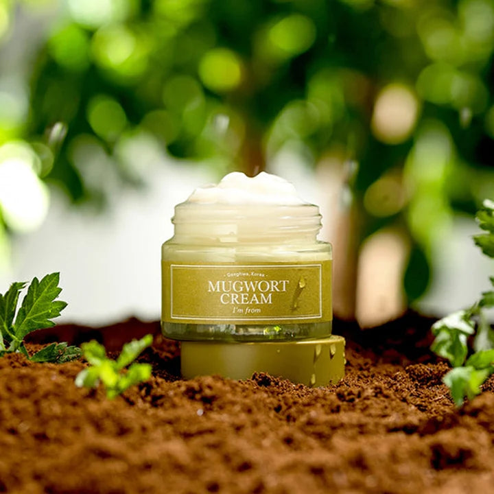 I'M_FROM_Mugwort_Cream_50ml