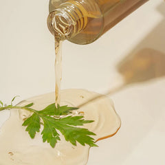 I'M_FROM_Mugwort_Essence_160ml