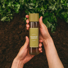 I'M_FROM_Mugwort_Essence_160ml