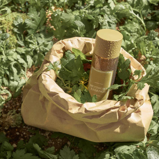 I'M_FROM_Mugwort_Essence_160ml