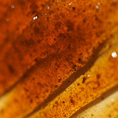 Isntree_Green_Tea_Fresh_Cleanser_120ml