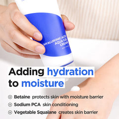 Isntree_Hyaluronic_Acid_Aqua_Gel_Cream_100ml