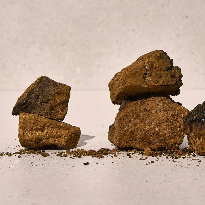 KAINE_Chaga_Collagen_Charging_Serum_30ml