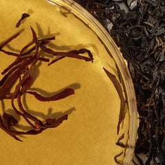 KAINE_Kombu_Balancing_Ampoule_Toner