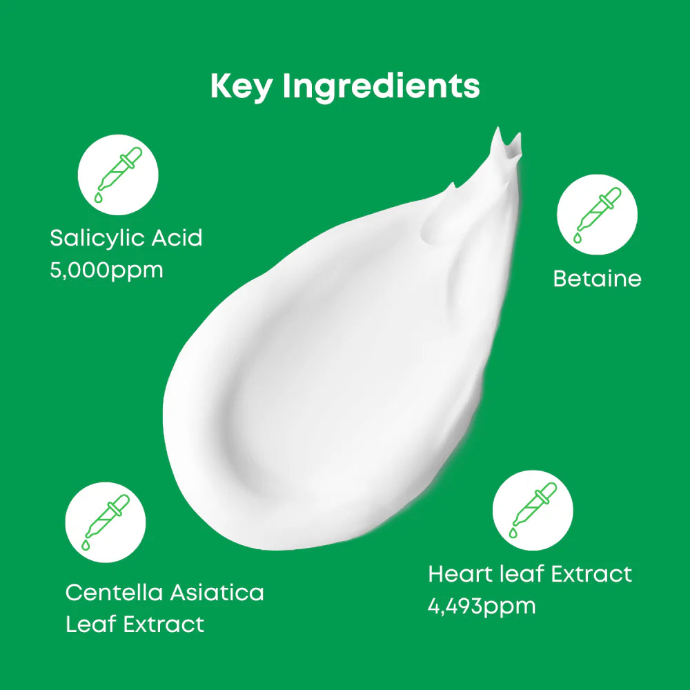 NINELESS_A-Control_Heartleaf_&_BHA_Cleanser_120ml