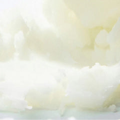 Celimax Oil Control Mattifying Sun Stick 19g