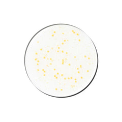 GENABELLE PDRN Vita Toning Ampoule 30ml - Kosmetica