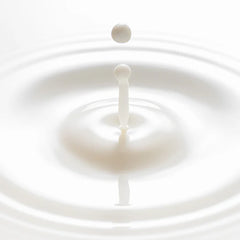 FULLY Rice Ceramide Essence Toner 250ml